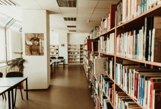 BIBLIOTHEQUE DE PLOMBIERES-LES-DIJON