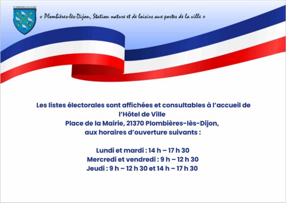 Consultation des listes électorales