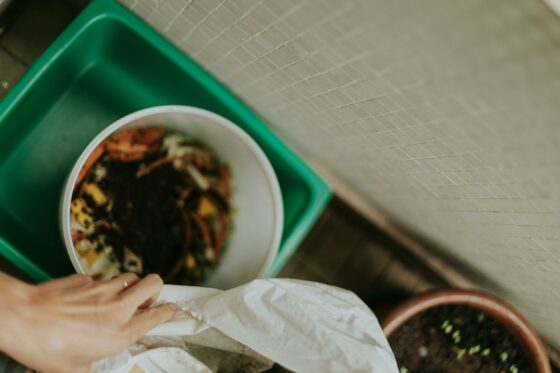 Déploiement des bornes de tri des déchets alimentaires