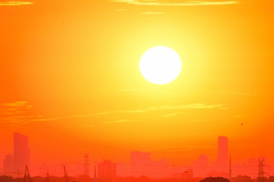 Vigilance rouge canicule